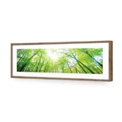 Sun Through Trees (Long) -WALL ART DESGIN SALE sun through trees long acrylic glass with border natural frame 90x30cm 431823