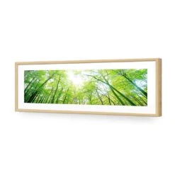 Sun Through Trees (Long) -WALL ART DESGIN SALE sun through trees long acrylic glass with border oak frame 90x30cm 618543