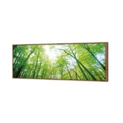 Sun Through Trees (Long) -WALL ART DESGIN SALE sun through trees long canvas natural floating frame 60x20cm 885356