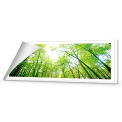 Sun Through Trees (Long) -WALL ART DESGIN SALE sun through trees long canvas rolled canvas 60x20cm 833199