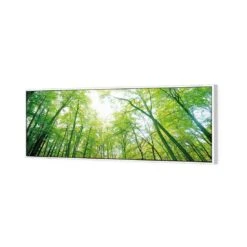 Sun Through Trees (Long) -WALL ART DESGIN SALE sun through trees long canvas white floating frame 60x20cm 688193