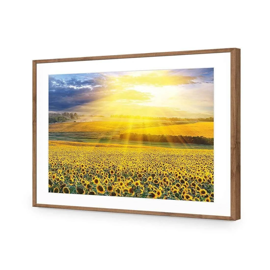 Sunflower Shine Sunflower Shine -WALL ART DESGIN SALE sunflower shine acrylic glass with border natural frame 45x30cm 611332