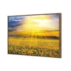 Sunflower Shine 7 Sunflower Shine -WALL ART DESGIN SALE sunflower shine canvas natural floating frame 45x30cm 354077