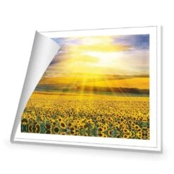 Sunflower Shine 8 Sunflower Shine -WALL ART DESGIN SALE sunflower shine canvas rolled canvas 45x30cm 563559