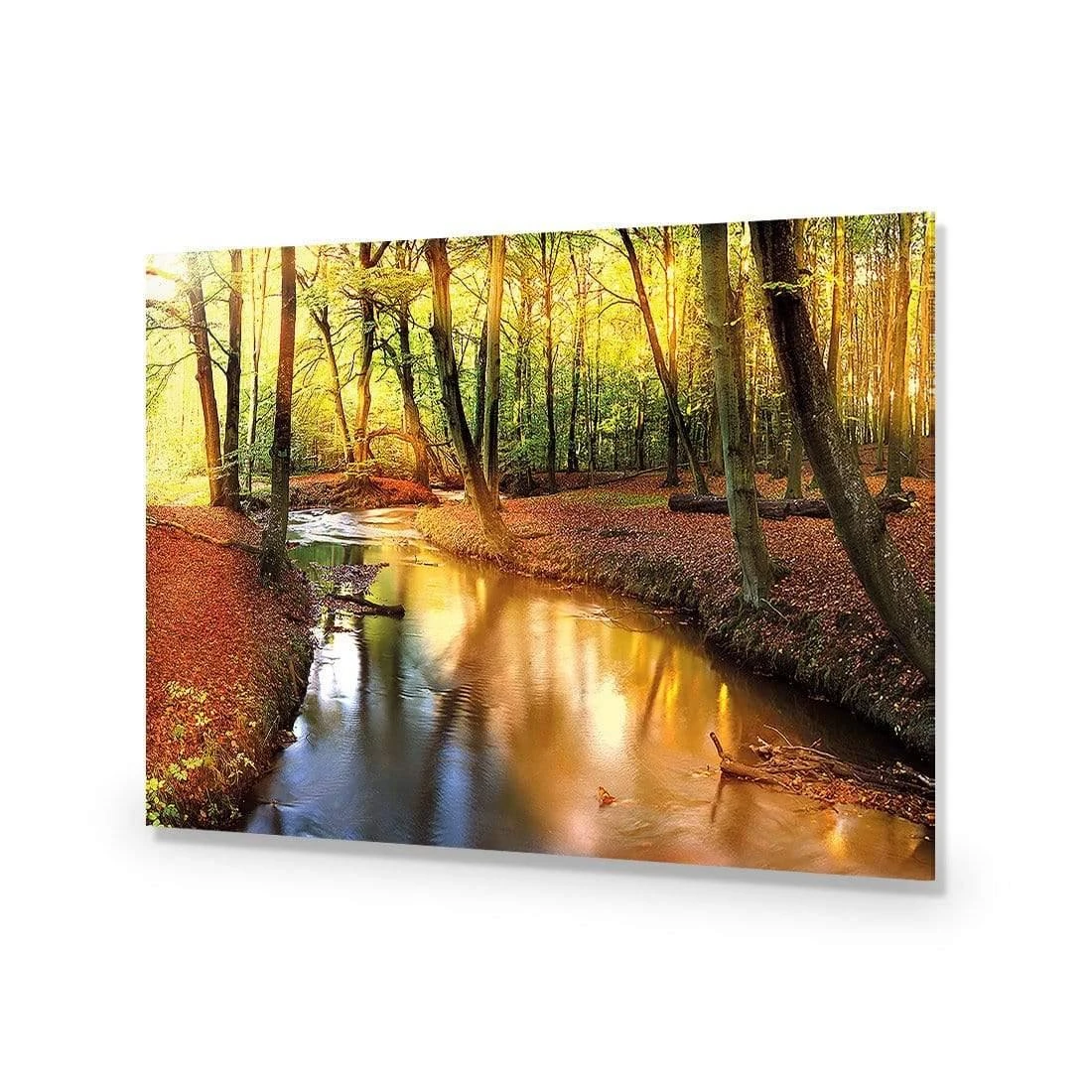 Sunkissed Forest Sunkissed Forest -WALL ART DESGIN SALE sunkissed forest acrylic glass no border no frame 45x30cm 106529