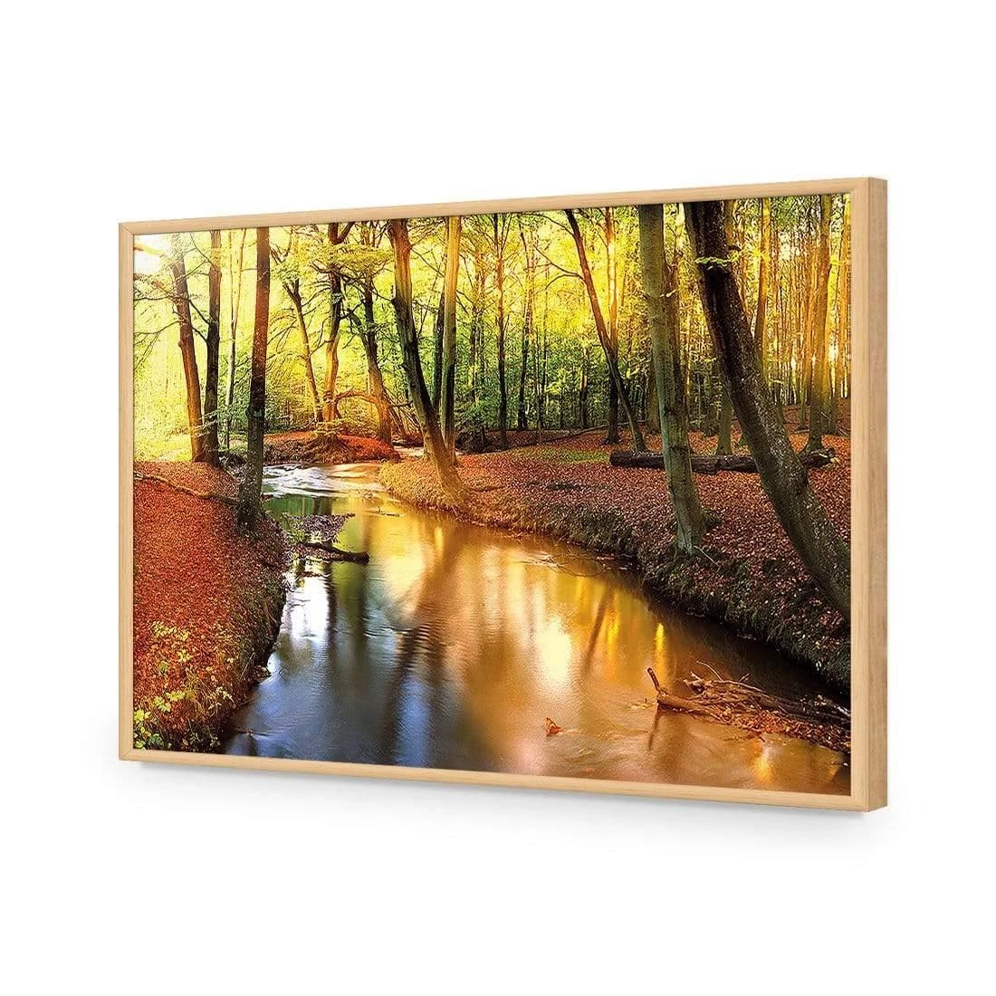 Sunkissed Forest Sunkissed Forest -WALL ART DESGIN SALE sunkissed forest acrylic glass no border oak frame 45x30cm 370215