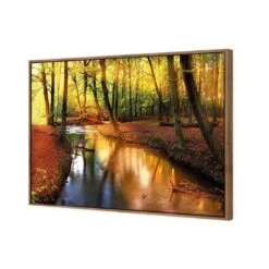 Sunkissed Forest 7 Sunkissed Forest -WALL ART DESGIN SALE sunkissed forest canvas natural floating frame 45x30cm 538609