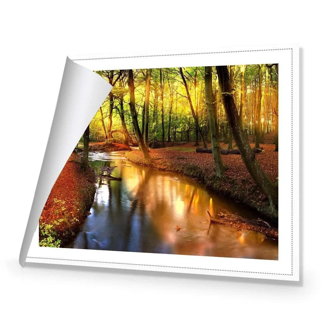 Sunkissed Forest Sunkissed Forest -WALL ART DESGIN SALE sunkissed forest canvas rolled canvas 45x30cm 763197