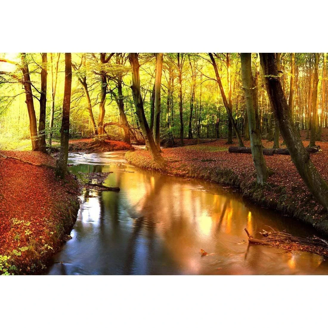 Sunkissed Forest Sunkissed Forest -WALL ART DESGIN SALE sunkissed forest canvas stretched canvas 45x30cm 380296