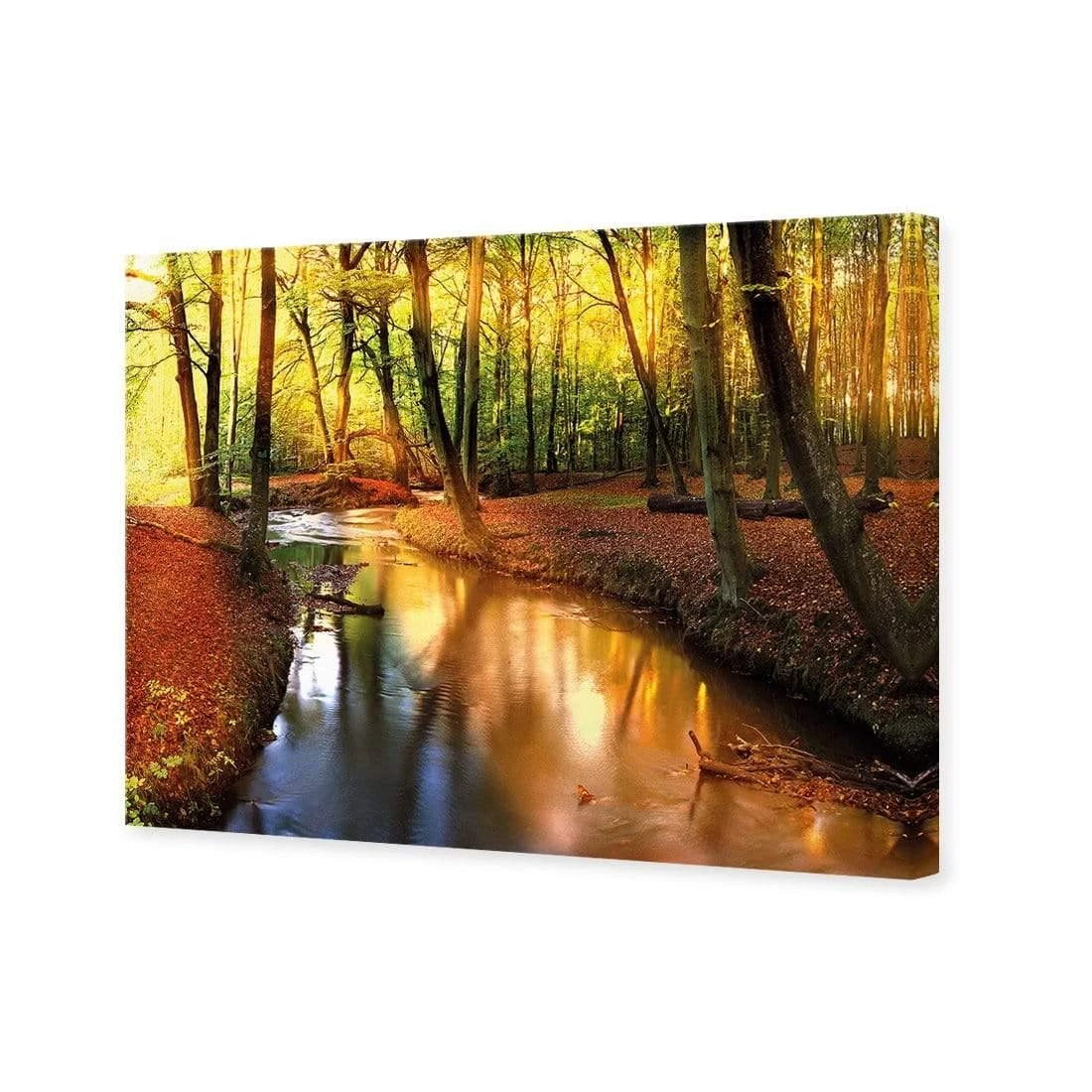 Sunkissed Forest Sunkissed Forest -WALL ART DESGIN SALE sunkissed forest canvas stretched canvas 45x30cm 751654