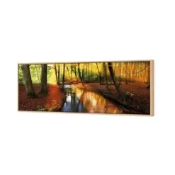 Sunkissed Forest (long) -WALL ART DESGIN SALE sunkissed forest long canvas oak floating frame 60x20cm 654573