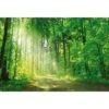 Sunlit Path -WALL ART DESGIN SALE sunlit path canvas stretched canvas 45x30cm 502615