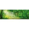 Sunlit Path (long) 1 Sunlit Path (long) -WALL ART DESGIN SALE sunlit path long canvas stretched canvas 60x20cm 963657