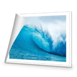 The Curl -WALL ART DESGIN SALE the curl canvas rolled canvas 45x30cm 181989