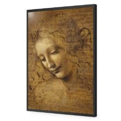 The Head Of A Woman By Leonardo Da Vinci 16 The Head Of A Woman By Leonardo Da Vinci -WALL ART DESGIN SALE the head of a woman by leonardo da vinci acrylic glass no border black frame 45x30cm 958697