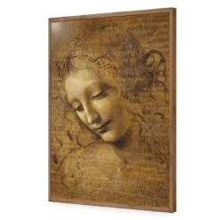 The Head Of A Woman By Leonardo Da Vinci 19 The Head Of A Woman By Leonardo Da Vinci -WALL ART DESGIN SALE the head of a woman by leonardo da vinci acrylic glass no border natural frame 45x30cm 448567