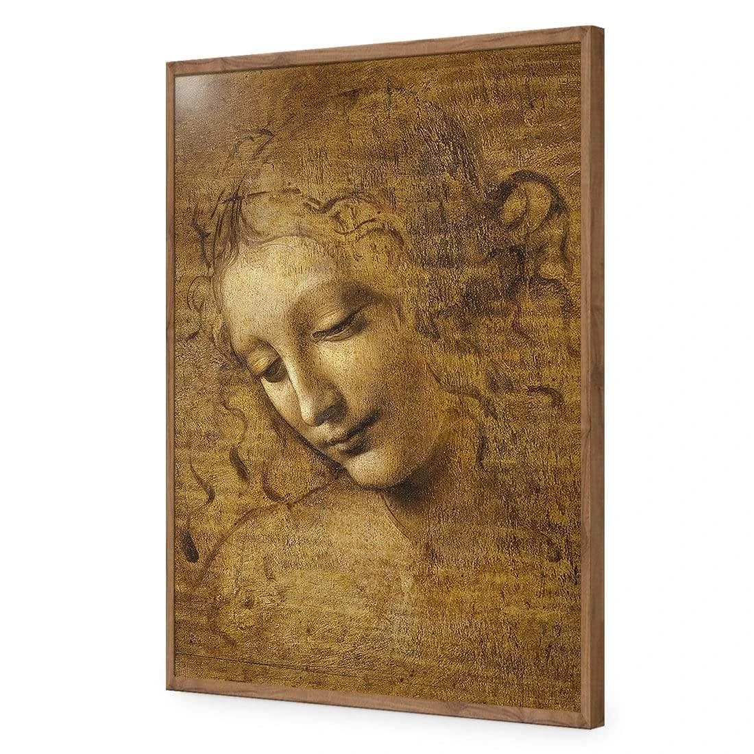 The Head of a Woman by Leonardo da Vinci The Head Of A Woman By Leonardo Da Vinci -WALL ART DESGIN SALE the head of a woman by leonardo da vinci acrylic glass no border natural frame 45x30cm 448567