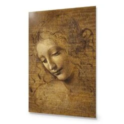 The Head Of A Woman By Leonardo Da Vinci 15 The Head Of A Woman By Leonardo Da Vinci -WALL ART DESGIN SALE the head of a woman by leonardo da vinci acrylic glass no border no frame 45x30cm 141604