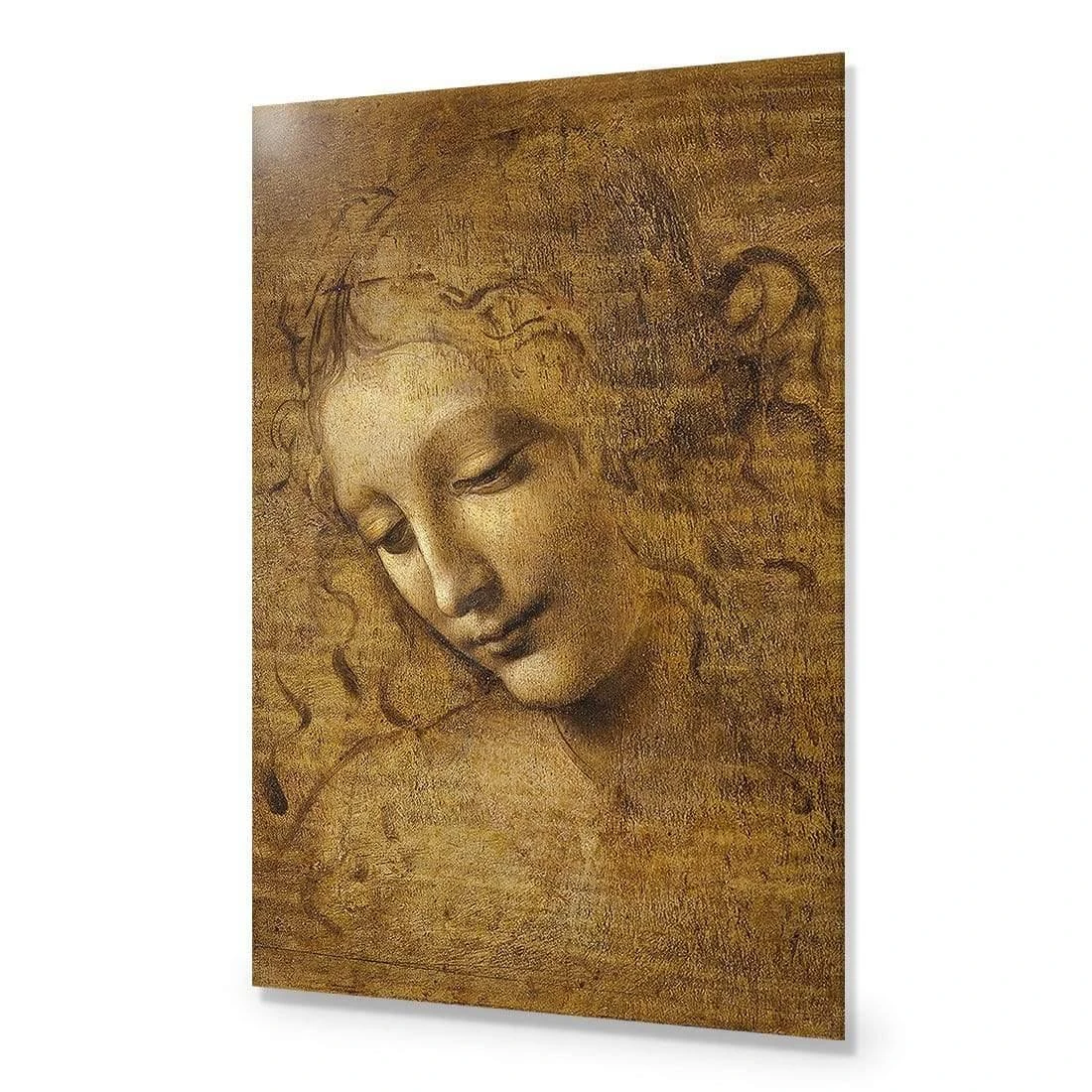The Head of a Woman by Leonardo da Vinci The Head Of A Woman By Leonardo Da Vinci -WALL ART DESGIN SALE the head of a woman by leonardo da vinci acrylic glass no border no frame 45x30cm 141604