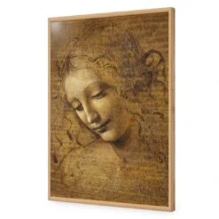 The Head Of A Woman By Leonardo Da Vinci 18 The Head Of A Woman By Leonardo Da Vinci -WALL ART DESGIN SALE the head of a woman by leonardo da vinci acrylic glass no border oak frame 45x30cm 965045