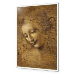 The Head Of A Woman By Leonardo Da Vinci 17 The Head Of A Woman By Leonardo Da Vinci -WALL ART DESGIN SALE the head of a woman by leonardo da vinci acrylic glass no border white frame 45x30cm 623014