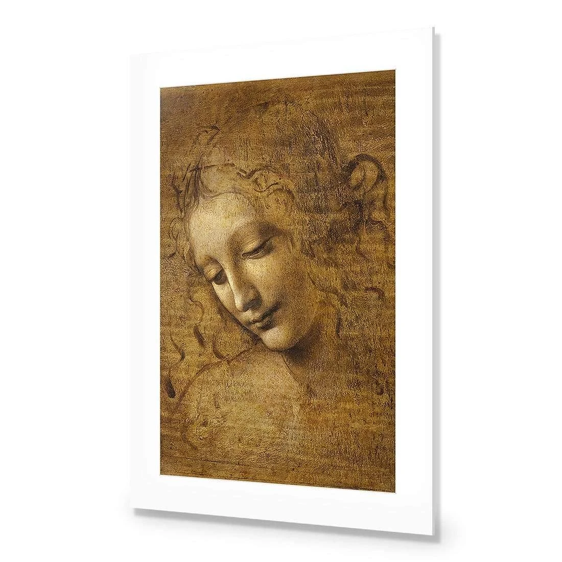 The Head of a Woman by Leonardo da Vinci The Head Of A Woman By Leonardo Da Vinci -WALL ART DESGIN SALE the head of a woman by leonardo da vinci acrylic glass with border no frame 45x30cm 624411