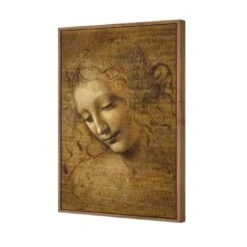 The Head Of A Woman By Leonardo Da Vinci 8 The Head Of A Woman By Leonardo Da Vinci -WALL ART DESGIN SALE the head of a woman by leonardo da vinci canvas natural floating frame 45x30cm 357913