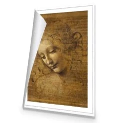 The Head Of A Woman By Leonardo Da Vinci 9 The Head Of A Woman By Leonardo Da Vinci -WALL ART DESGIN SALE the head of a woman by leonardo da vinci canvas rolled canvas 45x30cm 533267