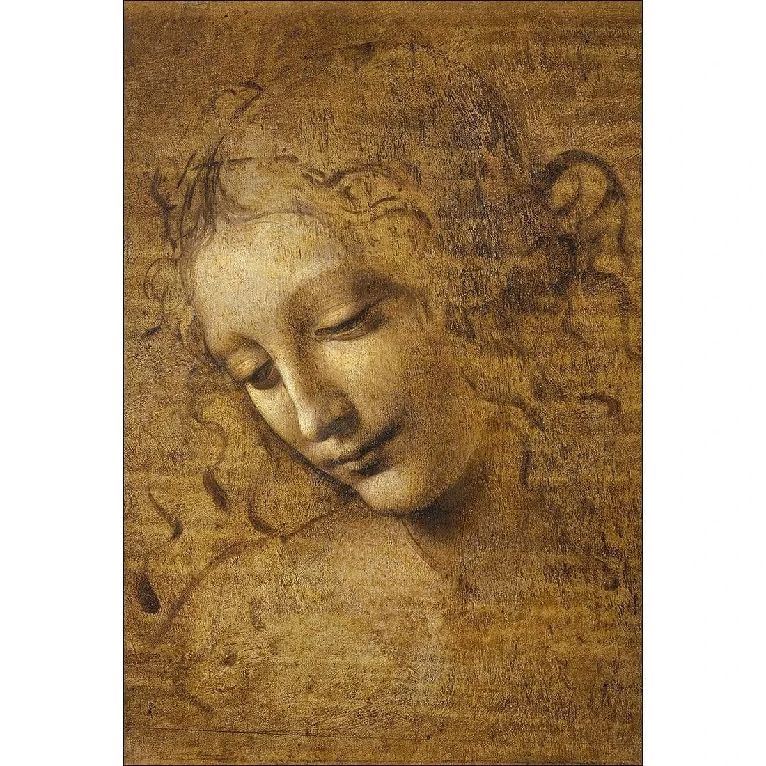 The Head of a Woman by Leonardo da Vinci The Head Of A Woman By Leonardo Da Vinci -WALL ART DESGIN SALE the head of a woman by leonardo da vinci canvas stretched canvas 45x30cm 170362