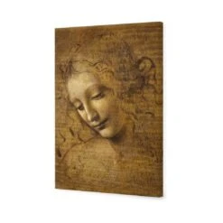 The Head Of A Woman By Leonardo Da Vinci 3 The Head Of A Woman By Leonardo Da Vinci -WALL ART DESGIN SALE the head of a woman by leonardo da vinci canvas stretched canvas 45x30cm 565790