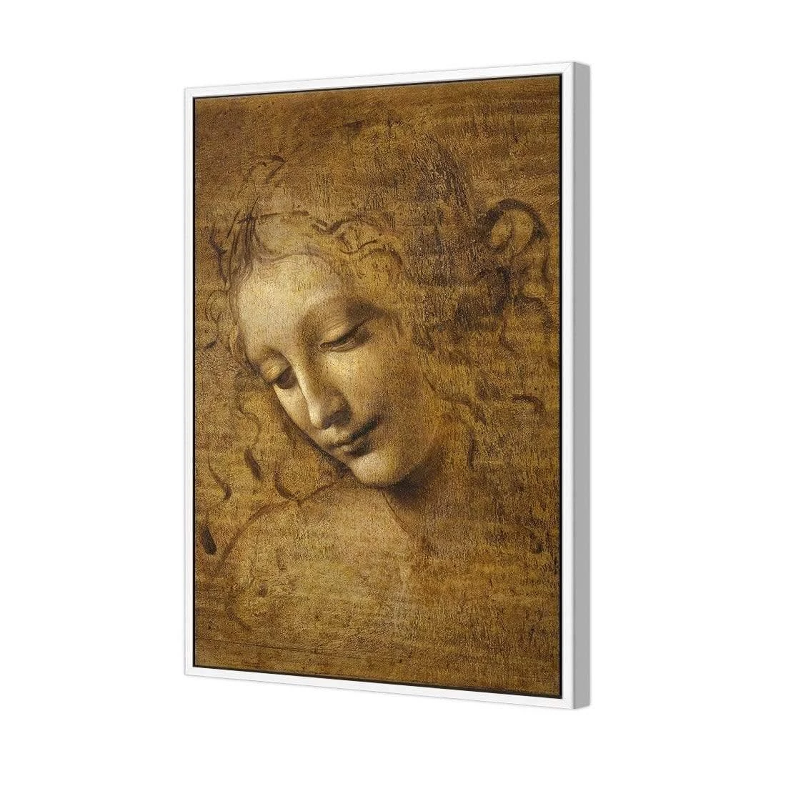 The Head of a Woman by Leonardo da Vinci The Head Of A Woman By Leonardo Da Vinci -WALL ART DESGIN SALE the head of a woman by leonardo da vinci canvas white floating frame 45x30cm 605235