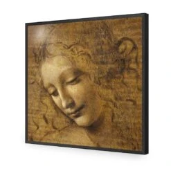 The Head Of A Woman By Leonardo Da Vinci (Square) -WALL ART DESGIN SALE the head of a woman by leonardo da vinci square acrylic glass no border black frame 37x37cm 365228