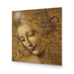 The Head Of A Woman By Leonardo Da Vinci (Square) -WALL ART DESGIN SALE the head of a woman by leonardo da vinci square acrylic glass no border no frame 37x37cm 848021