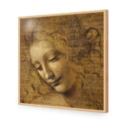 The Head Of A Woman By Leonardo Da Vinci (Square) -WALL ART DESGIN SALE the head of a woman by leonardo da vinci square acrylic glass no border oak frame 37x37cm 158125