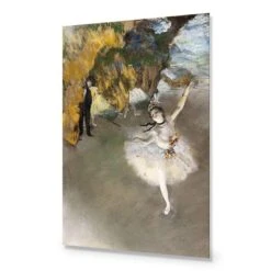 The Star By Edgar Degas -WALL ART DESGIN SALE the star by edgar degas canvas stretched canvas 45x30cm 323801