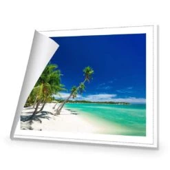 The Tropics Of Fiji -WALL ART DESGIN SALE the tropics of fiji canvas rolled canvas 45x30cm 911588
