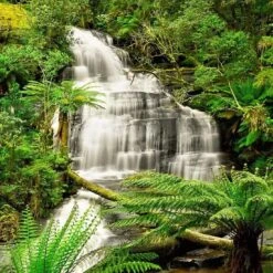 Triplet Falls Otway (square)