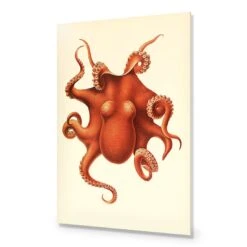 Vintage Octopus -WALL ART DESGIN SALE vintage octopus acrylic glass no border no frame 45x30cm 385102