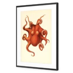 Vintage Octopus -WALL ART DESGIN SALE vintage octopus acrylic glass with border black frame 45x30cm 917317