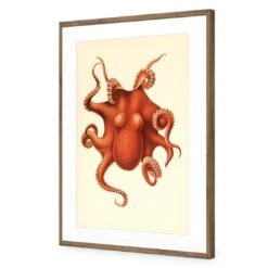 Vintage Octopus -WALL ART DESGIN SALE vintage octopus acrylic glass with border natural frame 45x30cm 395188