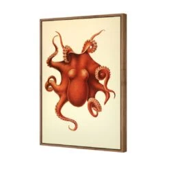 Vintage Octopus -WALL ART DESGIN SALE vintage octopus canvas natural floating frame 45x30cm 973511