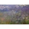 Waterlily Pond By Monet