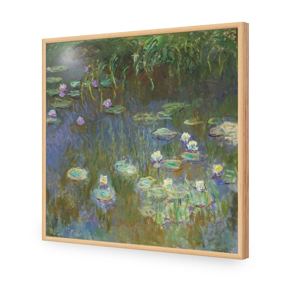 White and Purple Water Lilies By Monet White And Purple Water Lilies By Monet -WALL ART DESGIN SALE white and purple water lilies by monet acrylic glass no border oak frame 37x37cm 393653