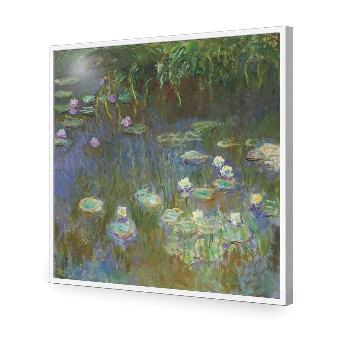 White and Purple Water Lilies By Monet White And Purple Water Lilies By Monet -WALL ART DESGIN SALE white and purple water lilies by monet acrylic glass no border white frame 37x37cm 750047