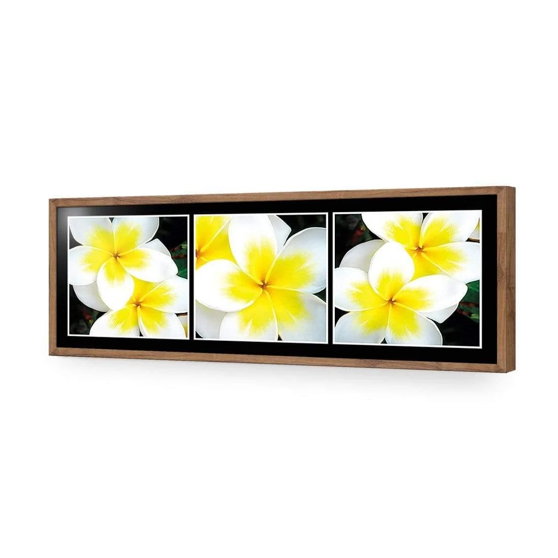 White Frangipani Montage White Frangipani Montage -WALL ART DESGIN SALE white frangipani montage acrylic glass no border natural frame 90x30cm 898422