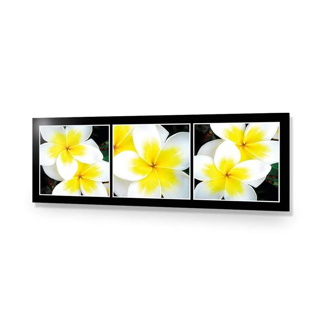 White Frangipani Montage White Frangipani Montage -WALL ART DESGIN SALE white frangipani montage acrylic glass no border no frame 90x30cm 779671
