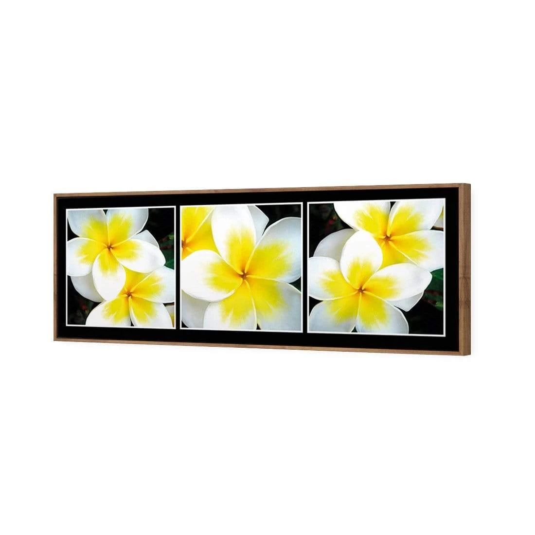 White Frangipani Montage White Frangipani Montage -WALL ART DESGIN SALE white frangipani montage canvas natural floating frame 60x20cm 815925