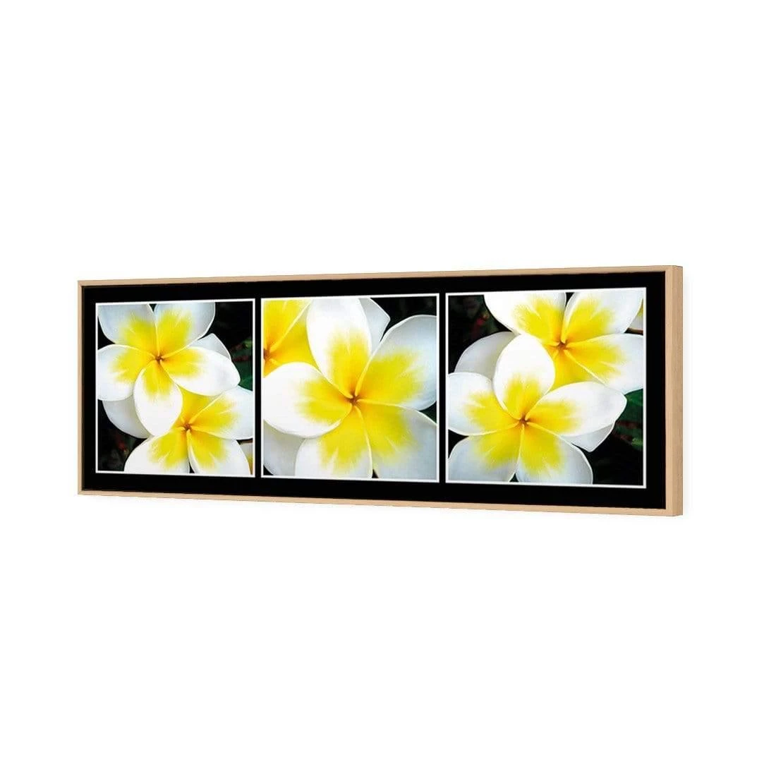 White Frangipani Montage White Frangipani Montage -WALL ART DESGIN SALE white frangipani montage canvas oak floating frame 60x20cm 173069