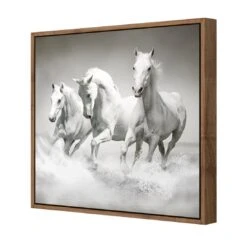 White Horse Beauty, Black And White (square) 7 White Horse Beauty, Black And White (square) -WALL ART DESGIN SALE white horse beauty black and white square canvas natural floating frame 37x37cm 490170