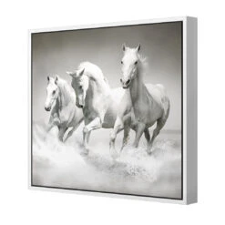 White Horse Beauty, Black And White (square) 5 White Horse Beauty, Black And White (square) -WALL ART DESGIN SALE white horse beauty black and white square canvas white floating frame 37x37cm 327022